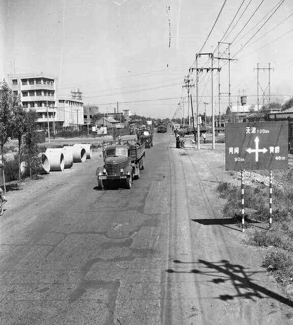 沧州自然美景探索之旅